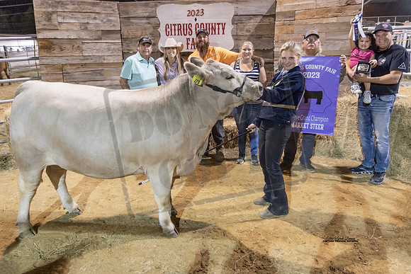 Resv Grand Champion Market Steer