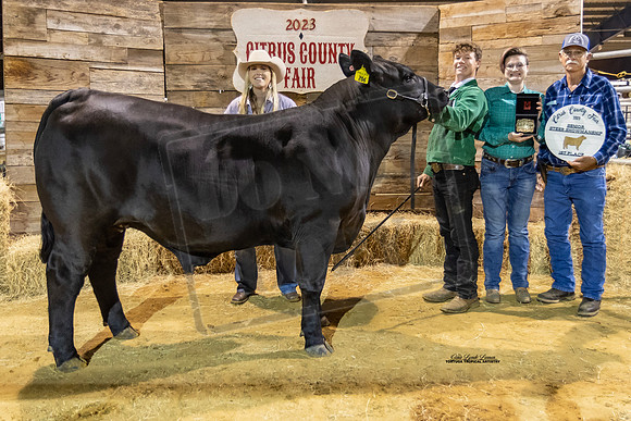 Steer Sr Showmanship