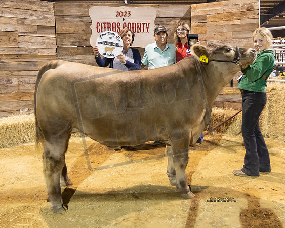 Steer Int Showmanship