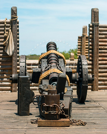 Cannon