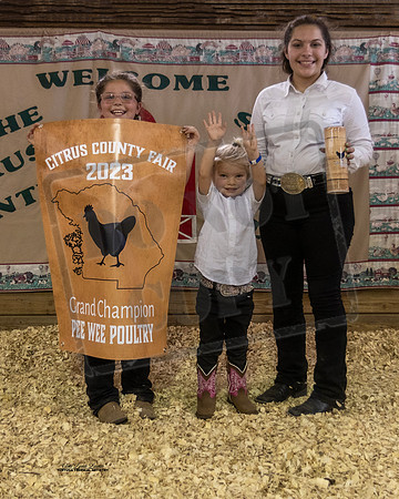 Pee Wee Grand Champ