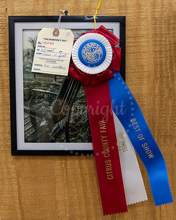 Sec 165 Class 3 Best of Show Kari Giordano