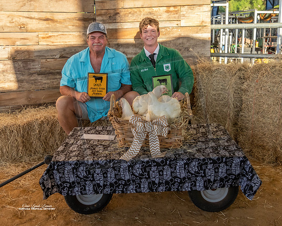 Resv Grand Champ POM Poultry