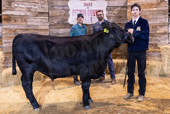 #162