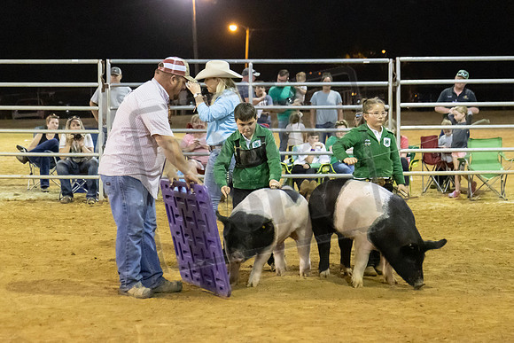 Jr Swine Showmanship Arena