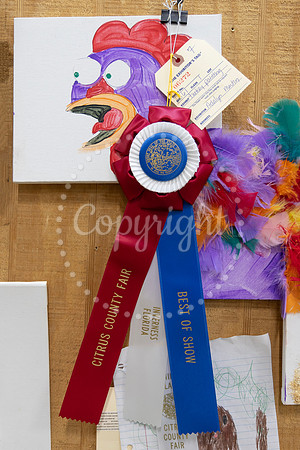 Sec 161 Class 1 Best of Show Adalyn Martin