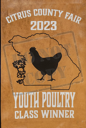 Youth English