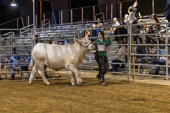 E Leturno #2