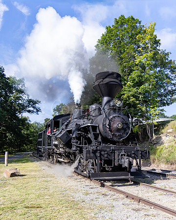 Cass Railroad Steam Engine #1