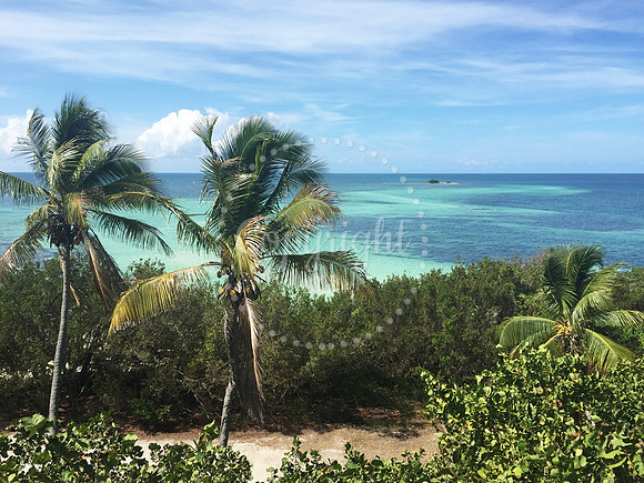 Bahia Honda