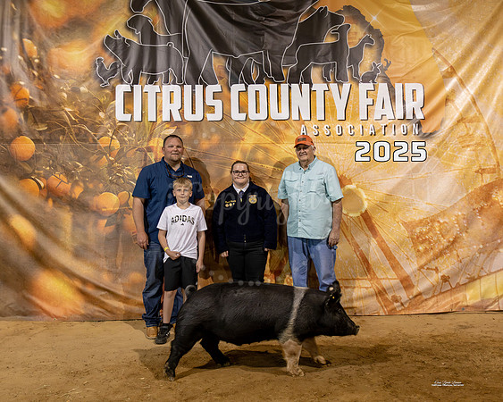 #174 Swine