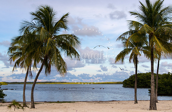 KeyLargoBeach