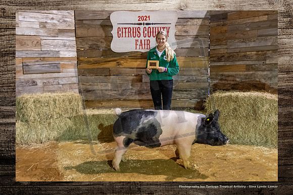 Class 3 Youth Swine