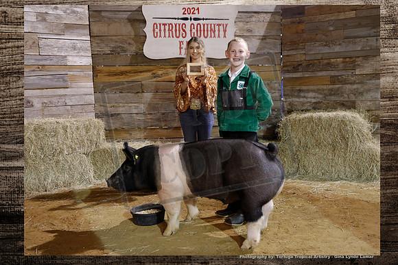 Class 4 Youth Swine