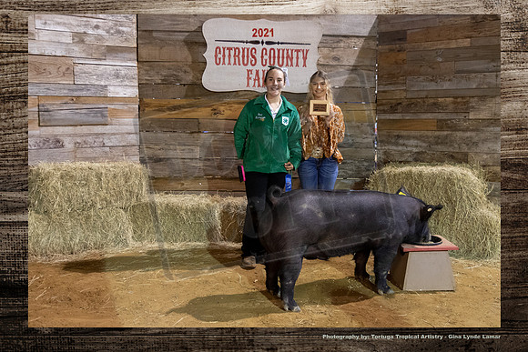 Class 5 Youth Swine