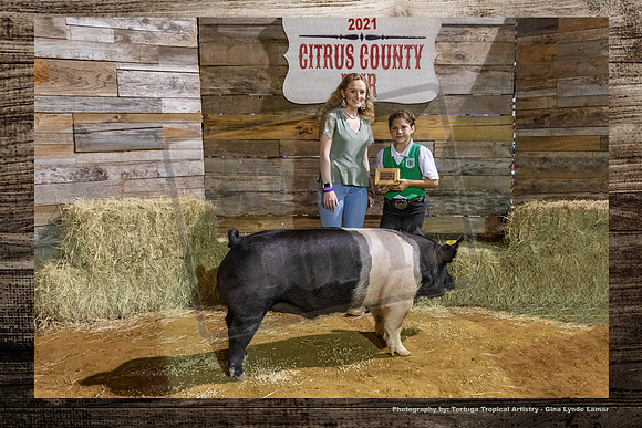 Class 8 Youth Swine