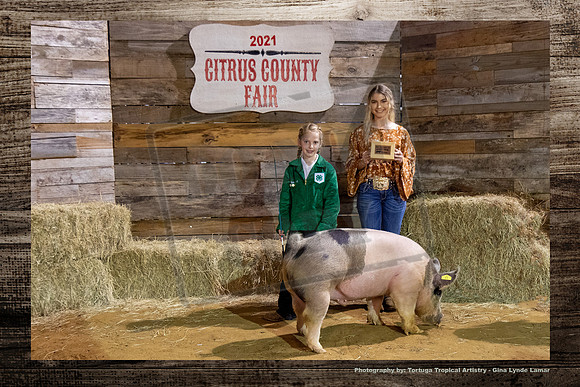 Class1 Youth Swine