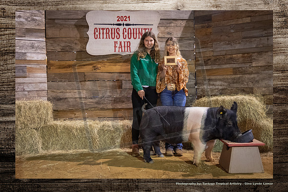 Class2 Youth Swine