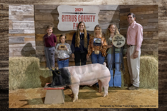 Grand Champion Swine