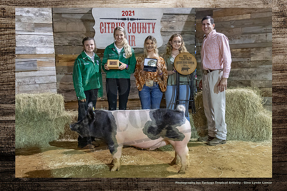 Reserve Champion Swine