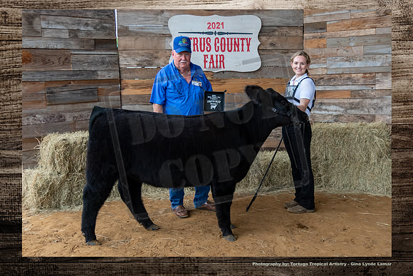 Class 1 Youth Beef Heifer