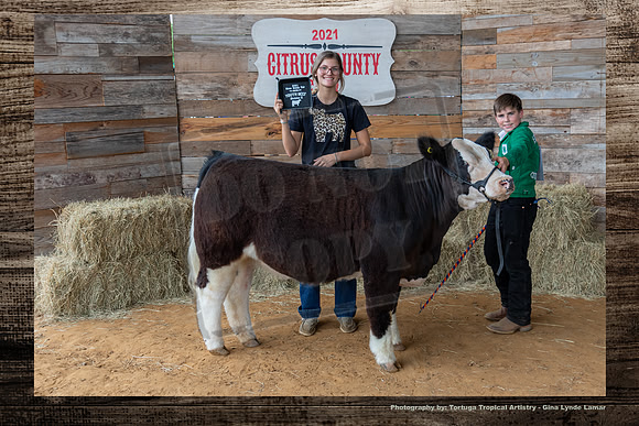 Class II Youth Beef Heifer