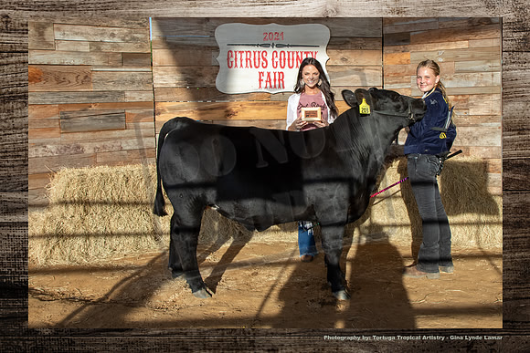 Class 1 Steer Show
