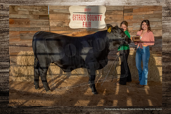 Class 3 Steer Show