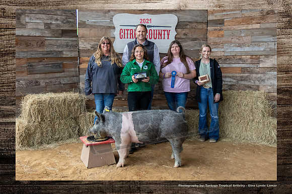 Int Showmanship Swine