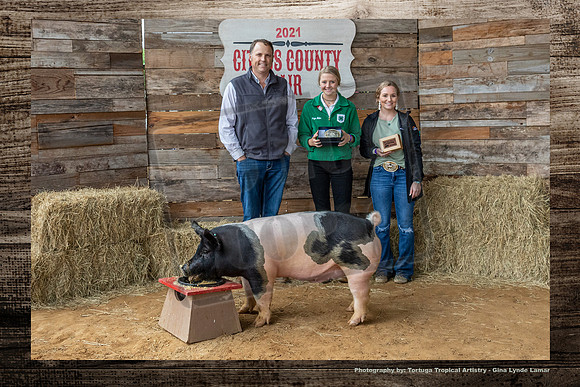 SR Showmanship Swine