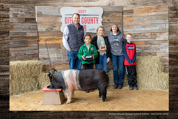 Jr Showmanship Swine