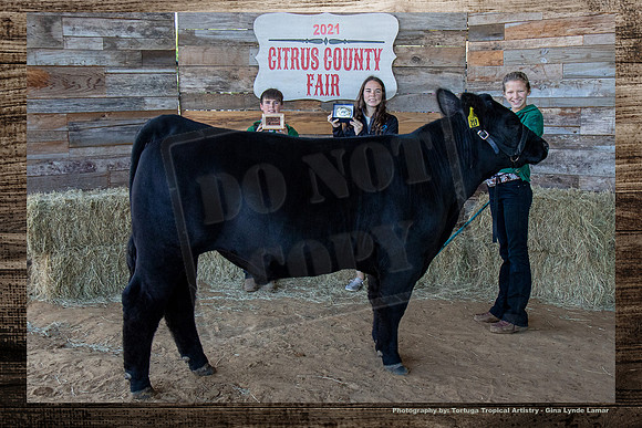 Int Steer Showmanship