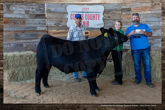 Sr Steer Showmanship