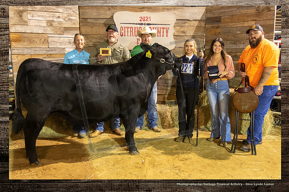 Grand Champion County Breed Steer