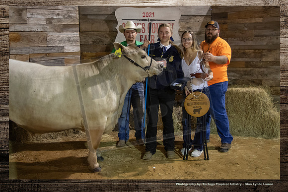 Res Grand Champ County Breed Steer