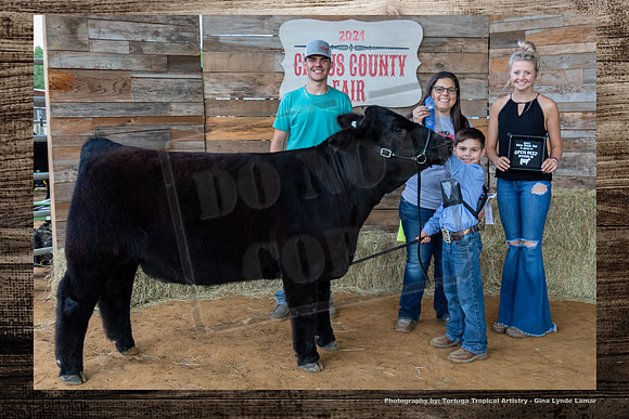 Class III OPen Beef Heifer #2