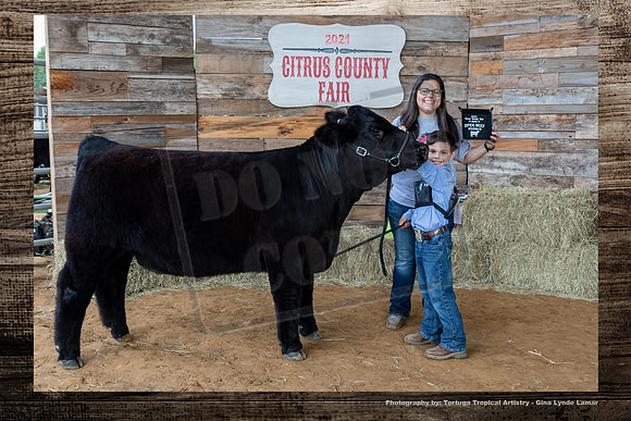 Class III OPen Beef Heifer #3