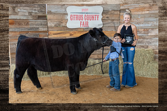 Class III Open Beef Heifer