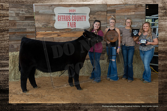 Grand Champion Heifer Open Beef