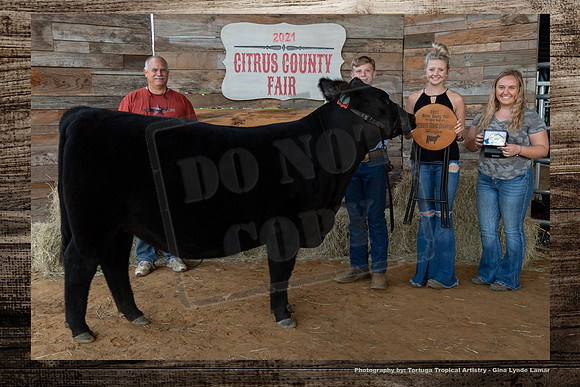 Res Grand Champion Open Beef Heifer