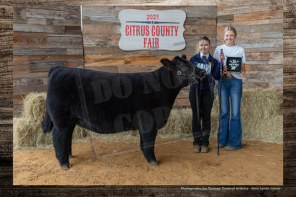 Class III Youth Beef Heifer