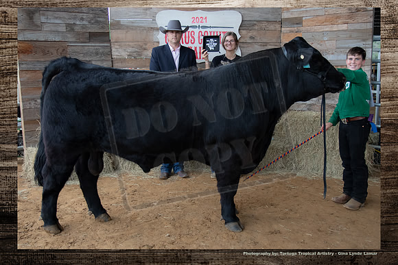 Class III Youth Beef Bull