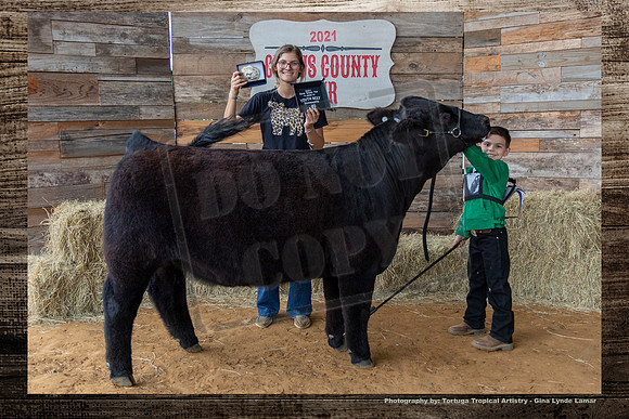 Youth  Beef Jr Showmanship