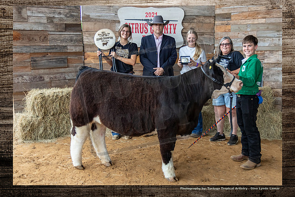 Youth Beef Grand Champion Heifer