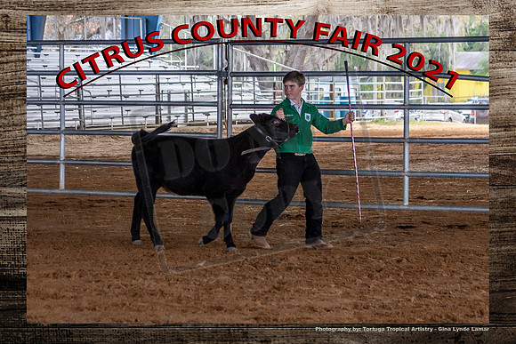Youth Beef Int Showmanship