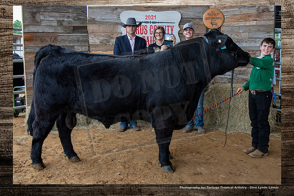 Youth Beef Res Grand Champion Bull