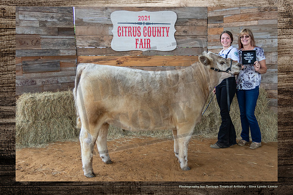 Youth Beef Sr Showmanship