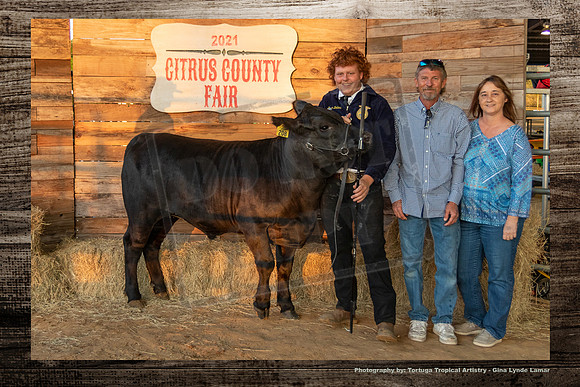 Steer Auction #19