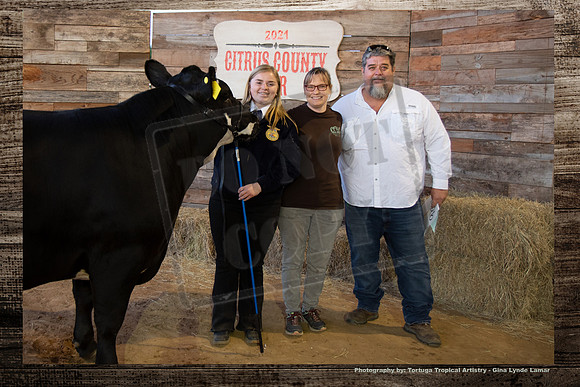 Steer Auction #27