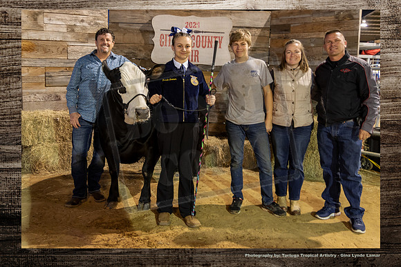 Steer Auction #35
